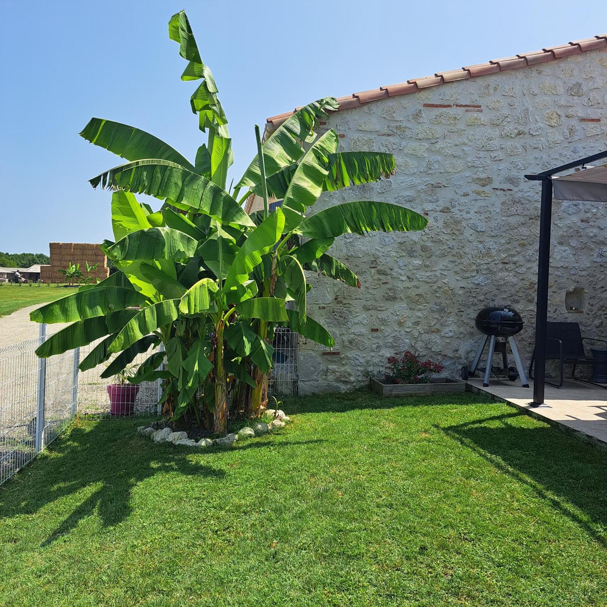 Le Domaine Vesque Saint-Pierre-de-Clairac Exterior foto
